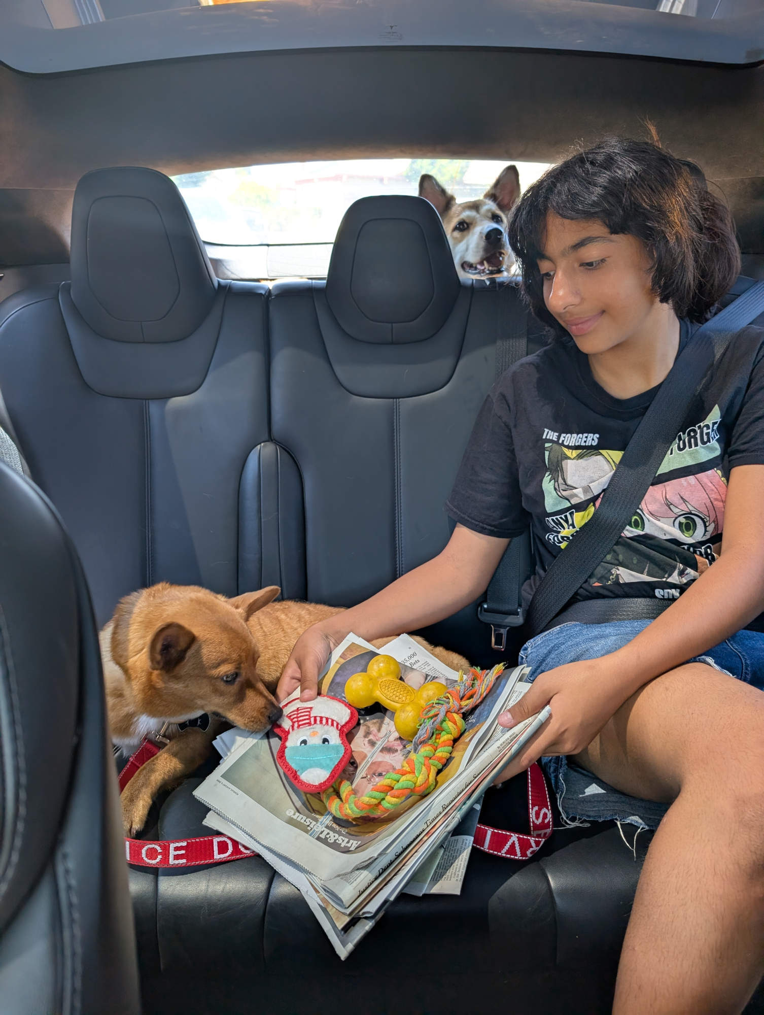 Paws of Kindness